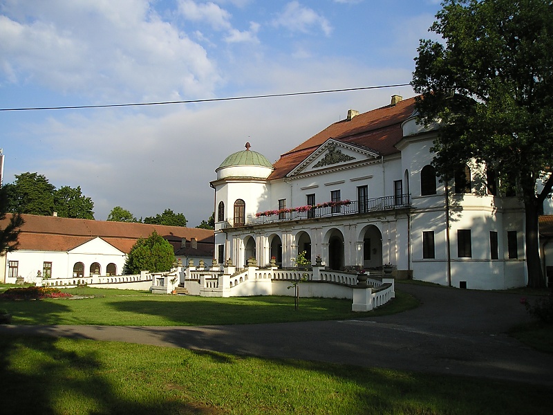 P1011352michalovcezmen